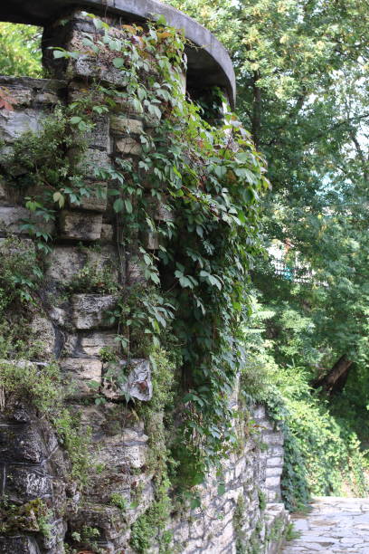 old stone wall with rounded corner and ivy branches - corner stone wall brick imagens e fotografias de stock