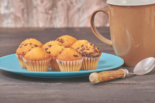 istock delicious mini chocolate flavor muffins for breakfast 1134094286