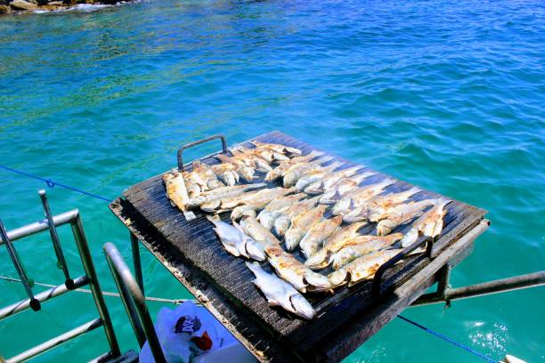 Grilled fresh fish during the boat trip in Bodrum, Turkey