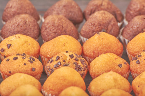 istock delicious mini chocolate flavor muffins for breakfast 1134095576