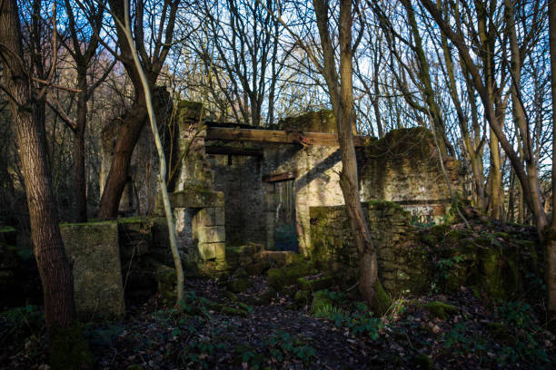 istock Ruined House in the Forest 1134096167