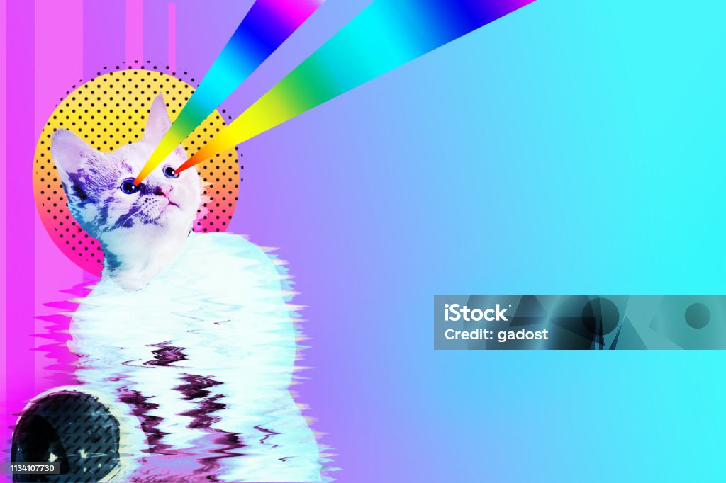 Pop art astronaut cat collage Pop art astronaut cat collage with rainbow rays, trendy contemporary concept design, vibrant vapor wave style background. Domestic Cat Stock Photo
