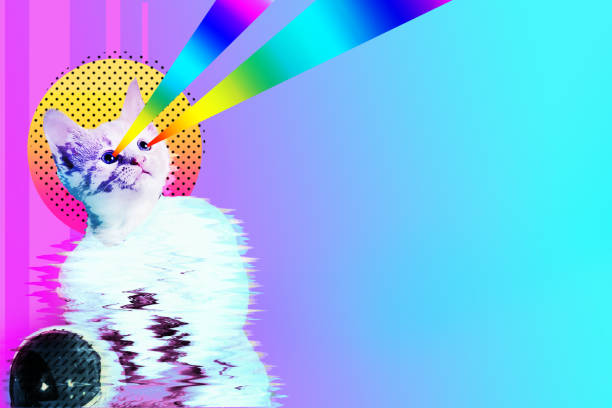 Pop art astronaut cat collage Pop art astronaut cat collage with rainbow rays, trendy contemporary concept design, vibrant vapor wave style background. cartoon photos stock pictures, royalty-free photos & images