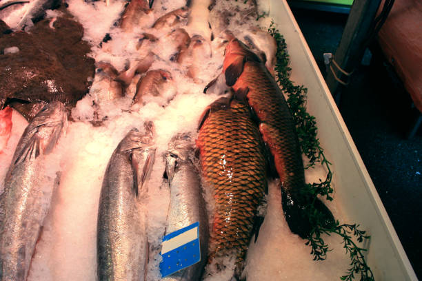 vers gevangen verse vis op de markt van de stad kraam - paling nederland stockfoto's en -beelden
