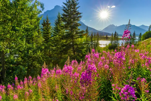 Photo of Banff National Park in Alberta Canada