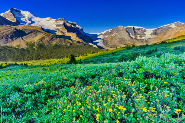 Banff National Park in Alberta Canada