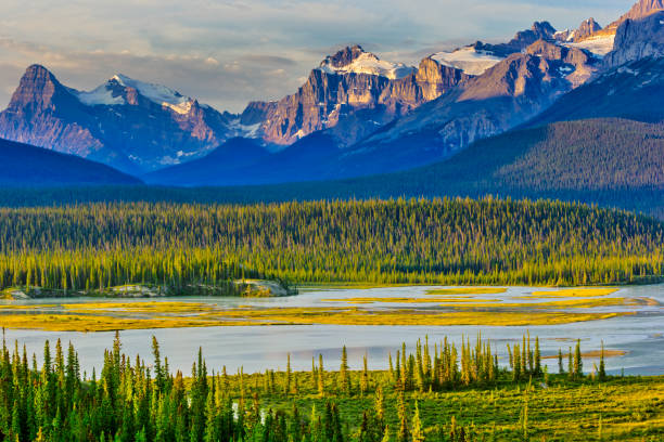 parque nacional banff en alberta, canadá - north saskatchewan river fotografías e imágenes de stock