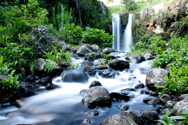 Photo of Marangu Falls 2