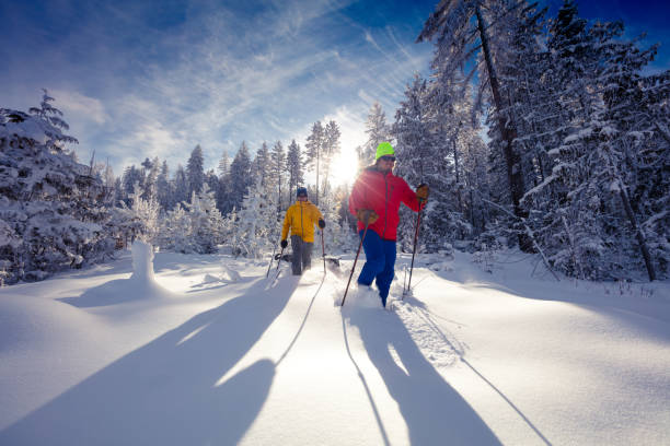 ciasci in giornata di sole. - snowshoe foto e immagini stock