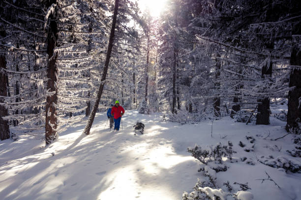 istock Snowshoeing on sunny day. 1134121466
