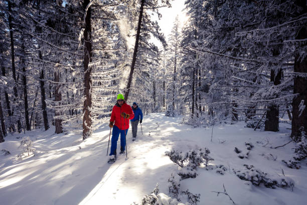 istock Snowshoeing on sunny day. 1134122127