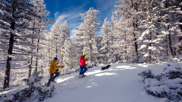 istock Snowshoeing on sunny day. 1134122274