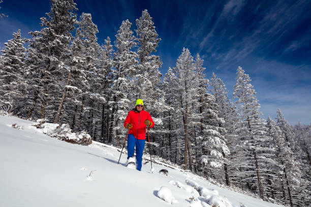 istock Snowshoeing on sunny day. 1134122427