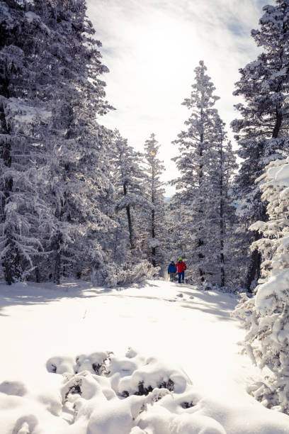 istock Snowshoeing on sunny day. 1134122516