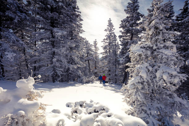 istock Snowshoeing on sunny day. 1134122531