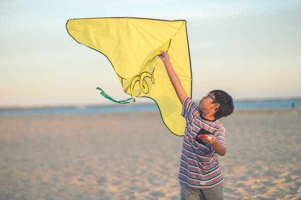 istock Boy preparing to fly his kite on the beach 1134123414