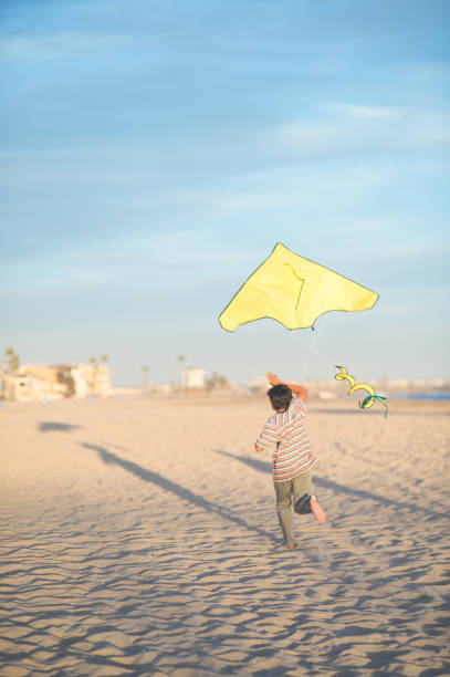 istock Boy flying his kite on the beach 1134124924