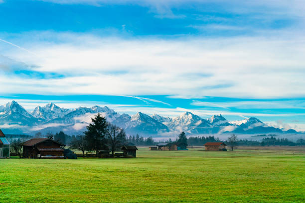 Idyllic landscape in the Alps with green meadows.