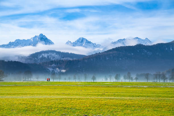 Idyllic landscape in the Alps with green meadows.