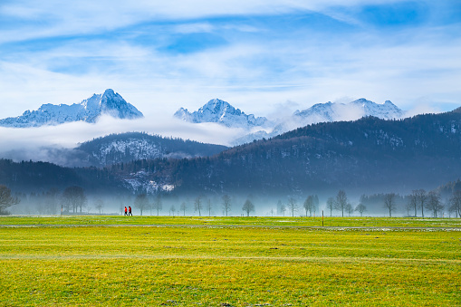 Idyllic landscape in the Alps with green meadows.