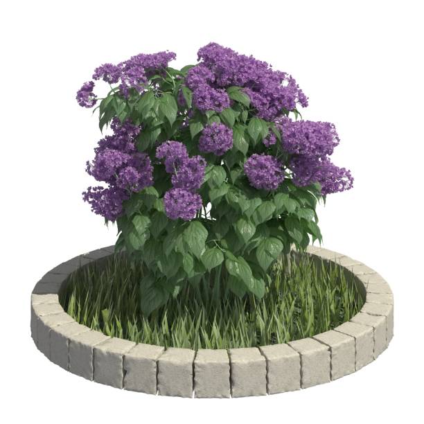 istock Bush 3d illustration isolated on the white background 1134131136