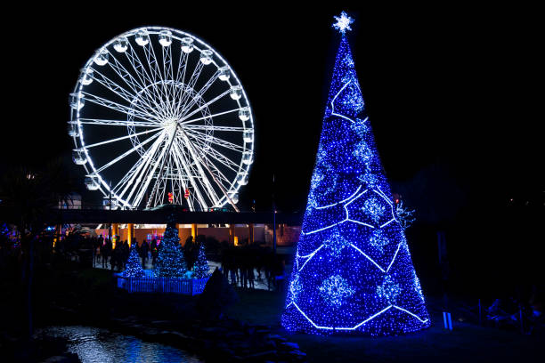 istock Christmas trees in Bournemouth gardens 1134132046