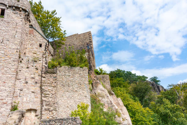 istock Old castle Ruins in Baden-Baden, Germany-(Old Castle) 1134136986
