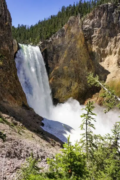 Photo of Lower falls, Yellowstone National Park, Wyoming
