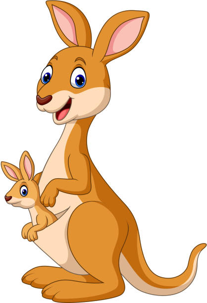 ilustraciones, imágenes clip art, dibujos animados e iconos de stock de canguros felices de dibujos animados con bebé joey - kangaroo animal humor fun