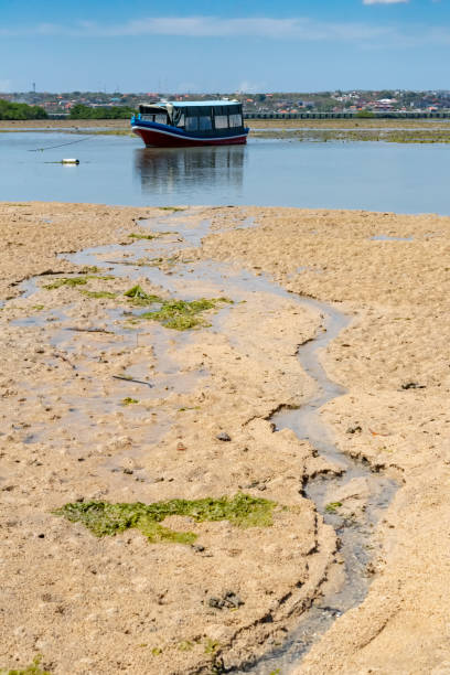 istock Boat at low tide at Benoa Bay Bali 1134141675