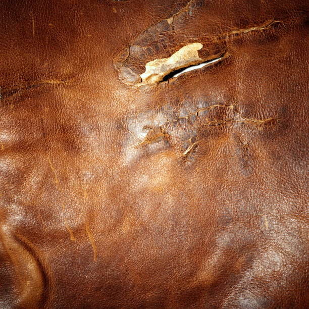 istock damaged shiny dark brown animal leather texture material background 1134143063