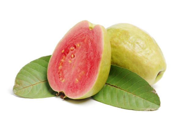 Pink guava isolated on white background Pink guava isolated on white background guava photos stock pictures, royalty-free photos & images