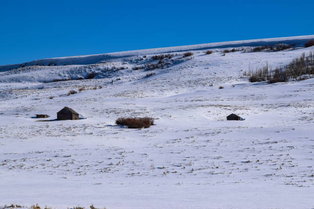 istock Snow covered Colorado hillside with log cabin in Winter 1134150951