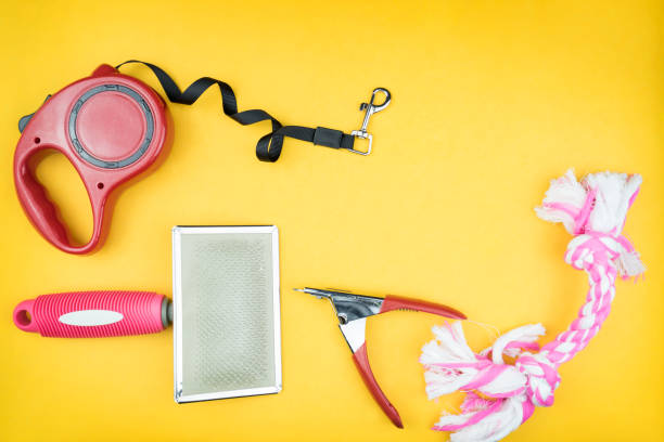 istock Pet accessories on yellow background. 1134152894