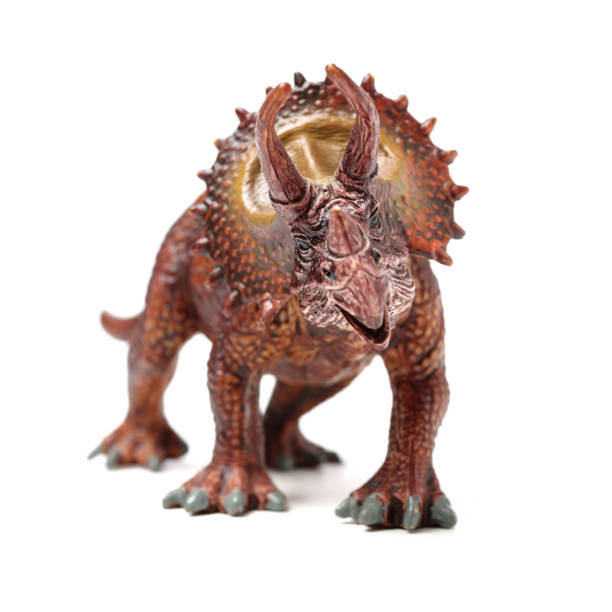 istock Styracosaurus dinosaur figure toy on white background 1134153612
