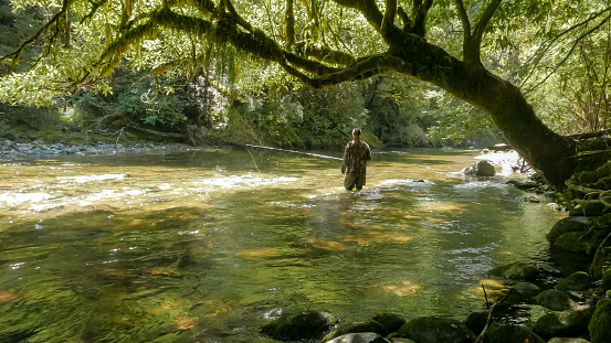 fly fisherman casts a fly on a lush spring creek in new zealand