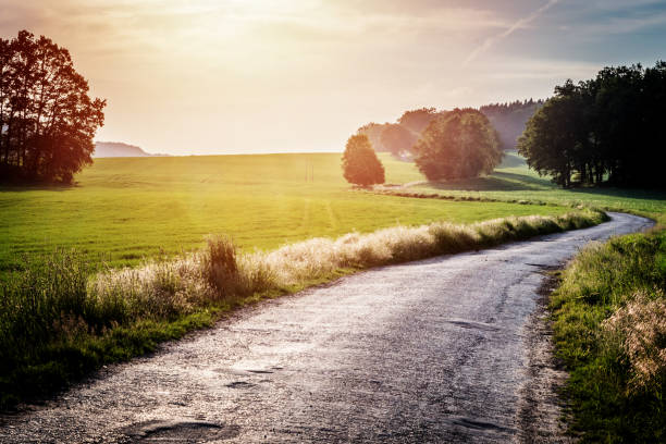 istock Green field and  road 1134157167