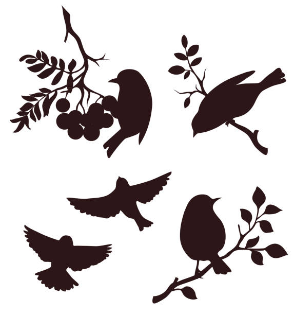 Set of autumn bird and twig silhouettes. Decorative birds sitting on twigs of tree and flying Vector illustration songbird stock illustrations