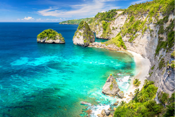 istock Paradise tropical island with sandy beach, palms trees, reef and rocks 1134159325