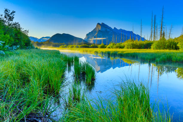 istock Banff National Park in Alberta Canada 1134160311
