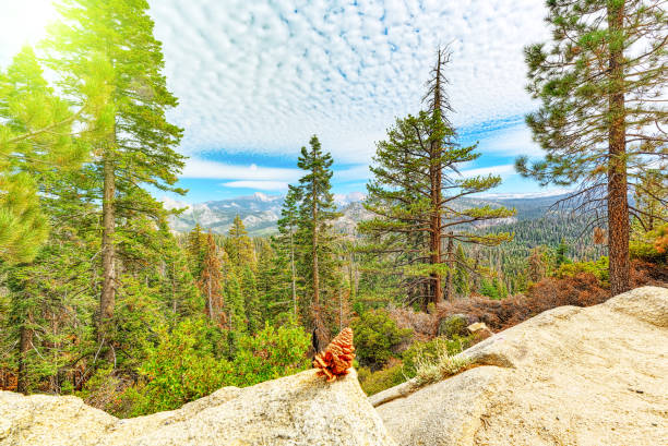 istock Magnificent national American natural park - Yosemite. 1134162944