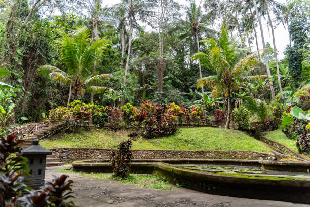 istock Waterlilly pond at Goa Gajah Sanctuary Ubud 1134165097