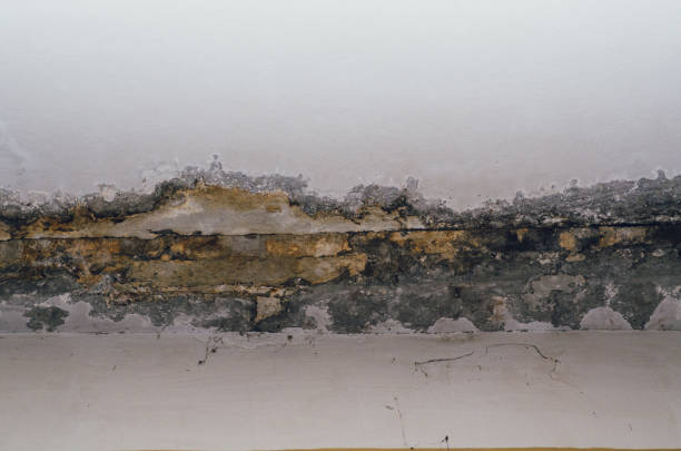 grandes manchas húmedas y grietas en el techo de la habitación de la casa doméstica después de fuertes lluvias y mucha agua - mold molding wall wet fotografías e imágenes de stock