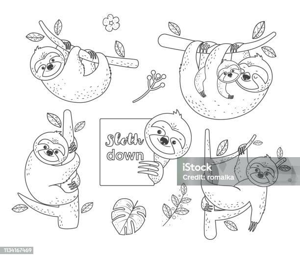 Set Of Outline Sloth Sitting On A Branch Coloring Pages Stock Illustration - Download Image Now