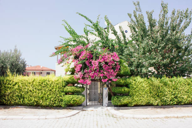 Izmir, Turkey -  September 09, 2017: Modern house exterior in a village in Izmir, Turkey
