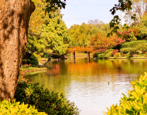 istock Beautiful view of pond and shore around it 1134167641
