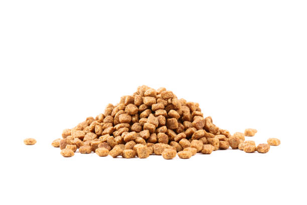 istock Dry pet food isolated on white background 1134169848