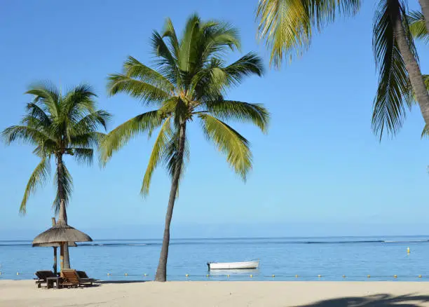 Tropical beach with white sand, palm-trees and blue ocean