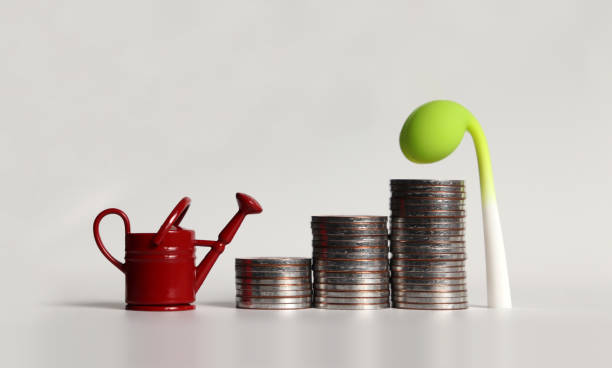 istock A pile of three stepped coins between a watering can and a bud. 1134174112