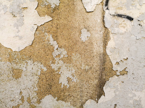 istock highly Detailed grunge background with space for your design 1134177134